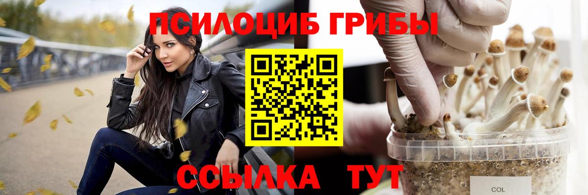 Самара  Псилоцибиновые грибы ЛСД  Галлюциногенные грибы ЛСД  Вход с VPN 