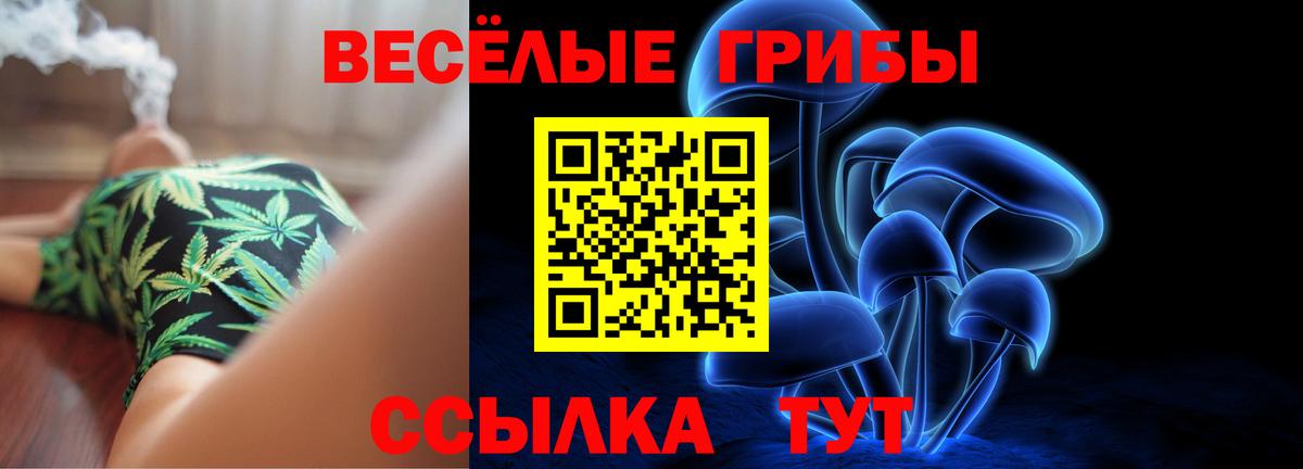 Псилоцибиновые грибы Psilocybe Самара